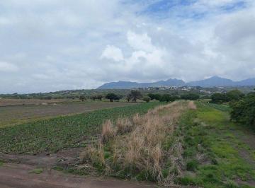 1c73d0e14b0d449538162ef76d89328b8ca167eab76c8f3e9b03280018981c45 · Terreno en Venta en Atlatlahucan