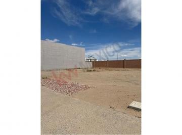 N/A · Propiedad en Venta - Altosano Nuevo Juárez, Parecelas Ejido Zaragoza, 32590 Juárez, Chih, México