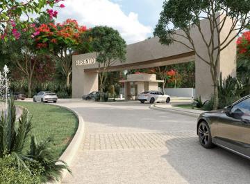 Terreno / Lote , Progreso · Terreno en Venta en San Ignacio, Yucatan en Nurento