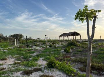 Terreno / Lote en Venta Pueblo Celestun · Último Lote en Frente de La Playa de Celestún Yucatán