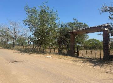 Terreno / Lote , Veracruz · Venta de Ha / Renta de Ha en Mata de Pita, Ver. Perfectas Para Invertir o Desarrollar!