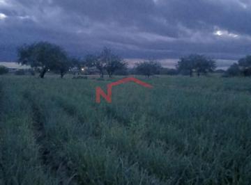 Foto principal · Tierras Para Siembra en Venta en La Victoria