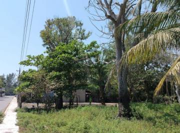 Terreno / Lote , Alvarado · Terreno en El Zapote a 30 m de La Playa Av Principal