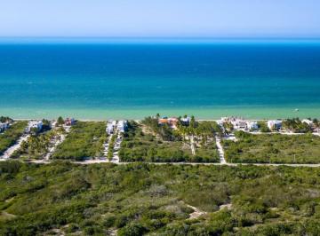 Terreno / Lote , Uayma · Terrenos en La Playa Yucatan