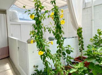 Departamento de 2 habitaciones, Querétaro · Departamento en Venta en Planta Baja con Jardin Privado en Tlacote, Queretaro