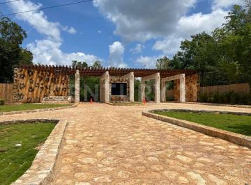 Entrada · Venta Terreno en Puerto Morelos en Ruta de Los Cenotes en Cenote Habitat Sm0223