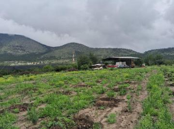 Huerta , Arteaga · Huerta de Manzanos en Jame, Arteaga