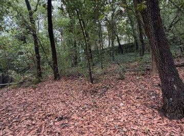 c233426c87e557defd722a7a0297888e4f9dd50ff4b35c4c3b66ef98a63c9a98 · Terreno en Venta Bosques de San Angel, Palmillas