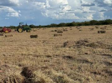 Terreno / Lote , Cadereyta Jiménez · Terreno en Venta Cadereyta Nuevo León (Remate)