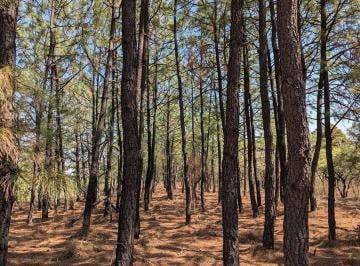Terreno / Lote , Zapopan · 10 Hectáreas en Venta con Proyección Residencial y Alta Plusvalía en Capital Nor