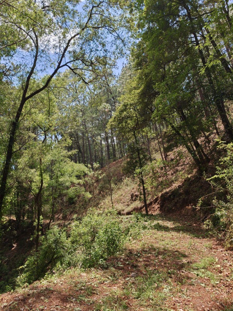 Terreno en Venta - Mazamitla