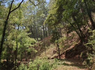 Terreno / Lote , Mazamitla · Terreno en Venta - Mazamitla
