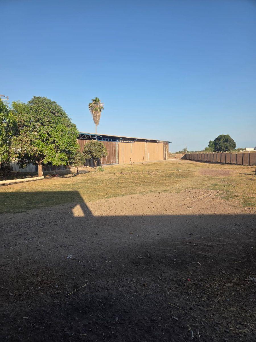 Warehouse for Rent in Los Mochis, Sinaloa