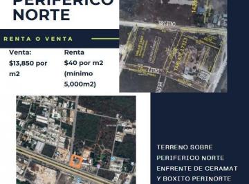 Terreno / Lote · Terreno en Venta en Periférico Norte, Santa Gertrudis Copó, Mérida Yucatán