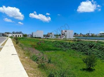 N/A · Propiedad en Venta - Óleo Zirándaro Desarrollo Residencial, La Huerta, San Miguel de Allende, Gto, m