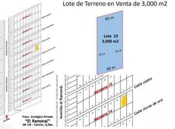 Terreno / Lote · 1m² · 2 Estacionamientos · Lote de Terreno Ecológico, Venta de 3,000 m², Fracc. El Ramonal, Carretera Cancún - Mérida.