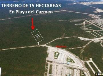 Terreno / Lote · 155239m² · 26 Estacionamientos · Terreno de 15 Hectáreas en Venta Uso Suelo Habitacional, en Playa del Carmen, Q. Roo.