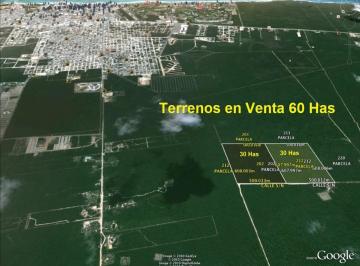 Terreno / Lote · 1m² · Terreno en Venta de 60 Has, Suelo H3 y Hc5 en Playa del Carmen