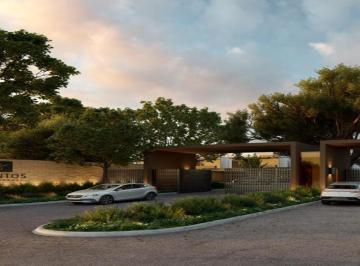 Casa · 280m² · 3 Recámaras · 2 Estacionamientos · Casa - Venta