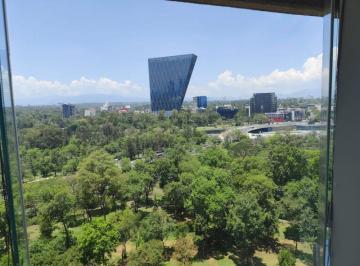 Departamento en Renta en Bosques de Chapultepec · Departamento en Renta en Bosques de Chapultepec