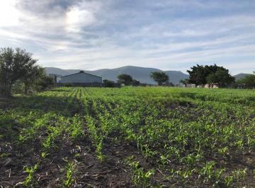 Terreno / Lote · 3498m² · Terreno Industrial Venta Cuautla 3498 m²