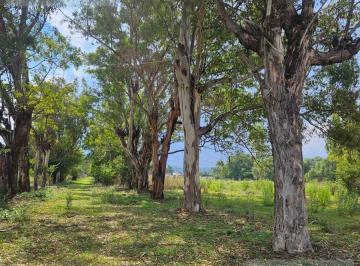 Terreno / Lote · 39083m² · Terreno en Noxtongo, Tepeji del Rio