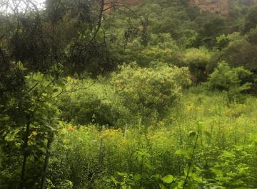 Terreno / Lote , Malinalco · 4 Terrenos Diferentes Medidas
