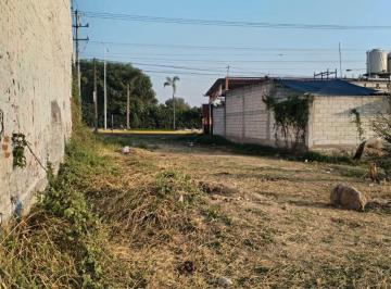 Terreno / Lote , Ayala · Terreno de 500 m² en Venta en Nuevo México (Los Apaches), Ayala Morelos