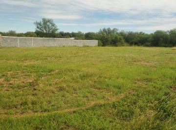 Terreno / Lote , Montemorelos · Terreno Campestre en Venta – Los Lirios, Montemorelos, Nuevo León