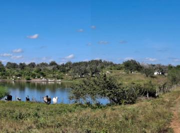 Terreno / Lote · 7800000ha · Rancho en Venta 780 Ha - Carretera Manuel / Aldama - La Coma