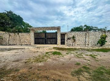 Terreno / Lote · 1500m² · Terreno en Renta en Colonia Doctores