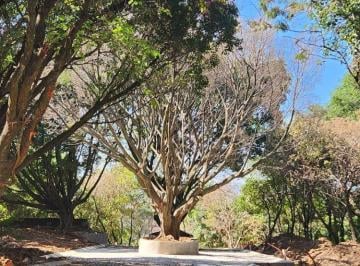 Terreno / Lote , Cuernavaca · Venta de Terrenos en Cuernavaca Infonavit