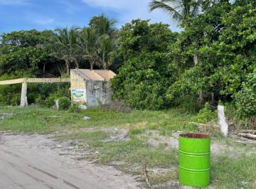 Terreno / Lote , Alvarado · Terreno de 1,500 m² en Venta en Mata de Uva. Alvarado Ver. a Pie de Playa