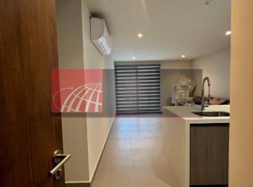 Departamento · 65m² · 2 Recámaras · 2 Estacionamientos · - Dr Departamento Renta Cumbres Madeira