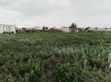 Terreno / Lote , Tizayuca · Terreno Habitacional en Venta de 500 m² en El Carmen, Tizayuca, Hidalgo