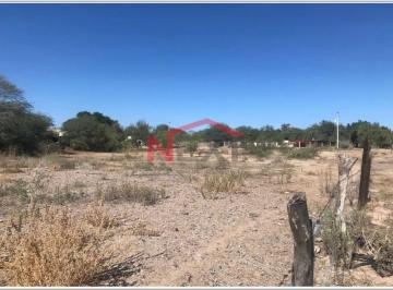 Foto principal · Terreno en Renta Ejido La Victoria
