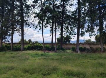 Terreno / Lote , Xaloztoc · Terreno de 2400 m² en Venta en Xaloztoc