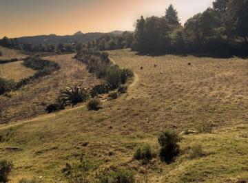 Terreno / Lote · 500m² · Terreno Boscoso en Omitlán de Juárez