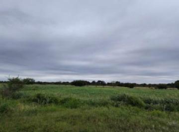 Rancho · 60000m² · Terreno en Venta La Arena Pesqueria
