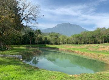 Terreno / Lote , Allende · Hermoso Terreno Campestre en El Corazón de Allende