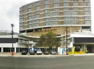 Departamento de 1 habitación, Monterrey · Dep. El Patriota