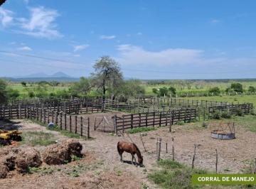 Terreno / Lote · 1000000m² · Rancho en Venta. 1 Km de Frente de Carretera Manuel - Aldama