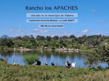Terreno / Lote · 780000m² · Rancho en Venta 780 Ha - Carretera Manuel / Aldama - La Coma