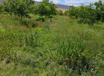 Terreno / Lote · 1500000m² · Huerta Nogalera Premium en Venta en Lago Colina, Camargo, Chihuahua