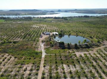 Terreno / Lote · 1500000m² · Huerta Nogalera Premium en Venta en Lago Colina, Camargo, Chihuahua