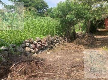 Terreno / Lote · 4363m² · Venta de Terreno Alpuyeca, Morelos, Km 2 Carretera Cuernavaca / Grutas de Cacahuamilpa