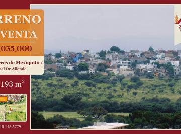 Terreno / Lote · 193m² · Terreno en San Miguel de Allende