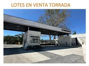 Terreno / Lote , Saltillo · Terreno en Venta – Residencial Torrada