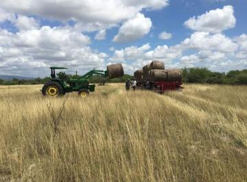 Terreno industrial , Los Ramones · Terreno en Venta Sobre Carretera Libre a Reynosa, de 600 Hectáreas.
