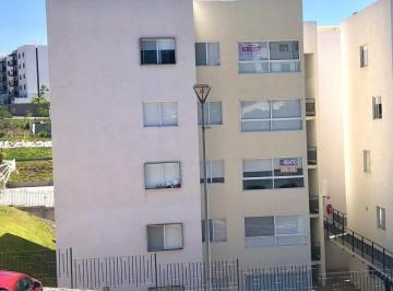 DEPARTAMENTO EN RENTA EN PRIVALIA AMBIENTA · Departamento en Renta en Privalia Ambienta
